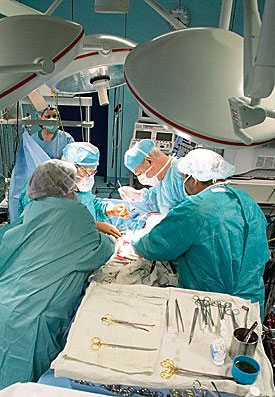 Италия. Закон о трансплантации (пересадке) органов