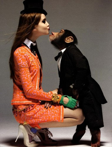 Целуются не только люди, но и обезьяны 
